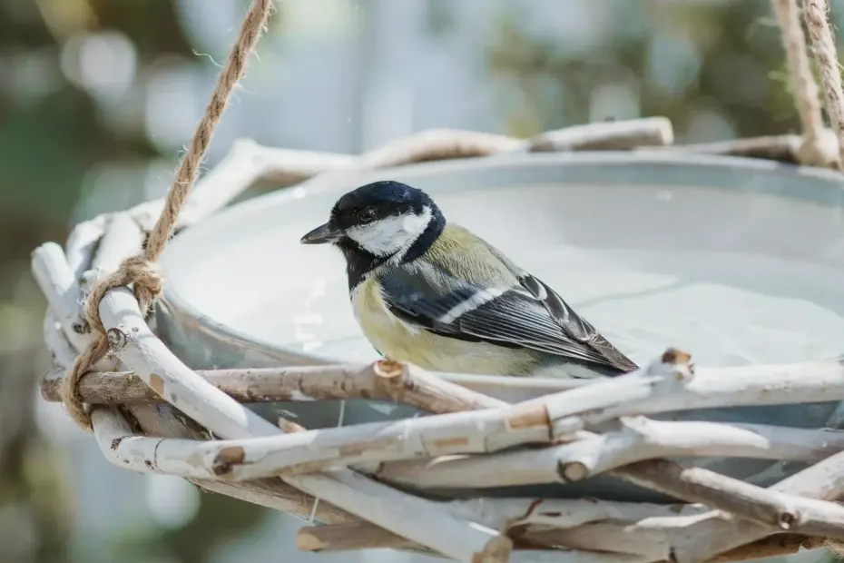 DIY Bird Bath Mistake to Avoid | Upcycled Old Wagon Wheel Garden Bird Bath